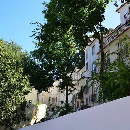 Flor De Lis - Alfama *